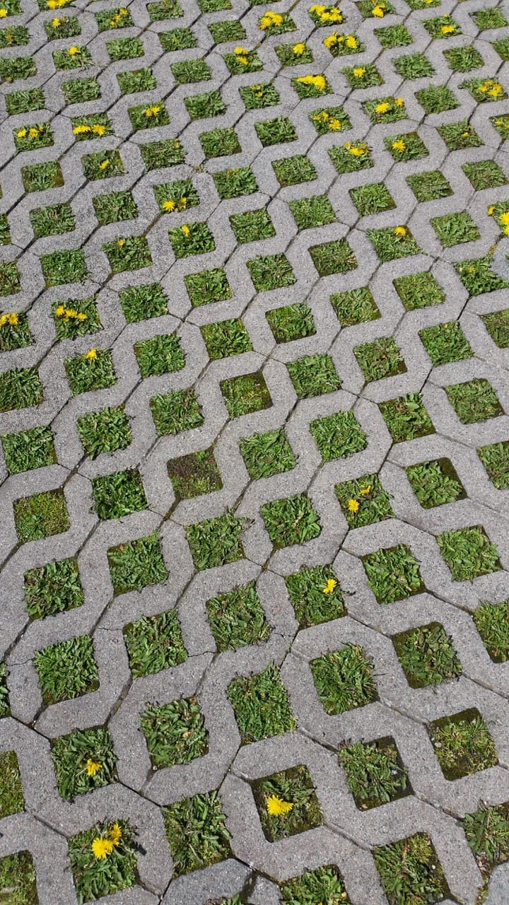 Driveway pavers with grass in between